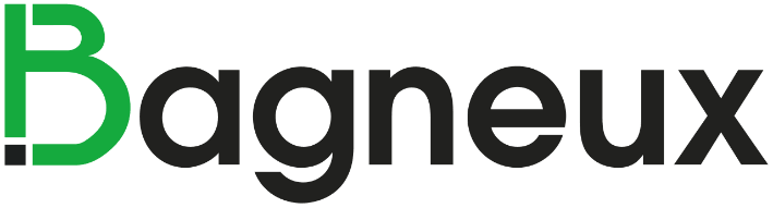 logo bgx