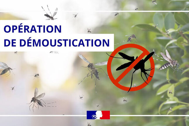 Opération de démoustication