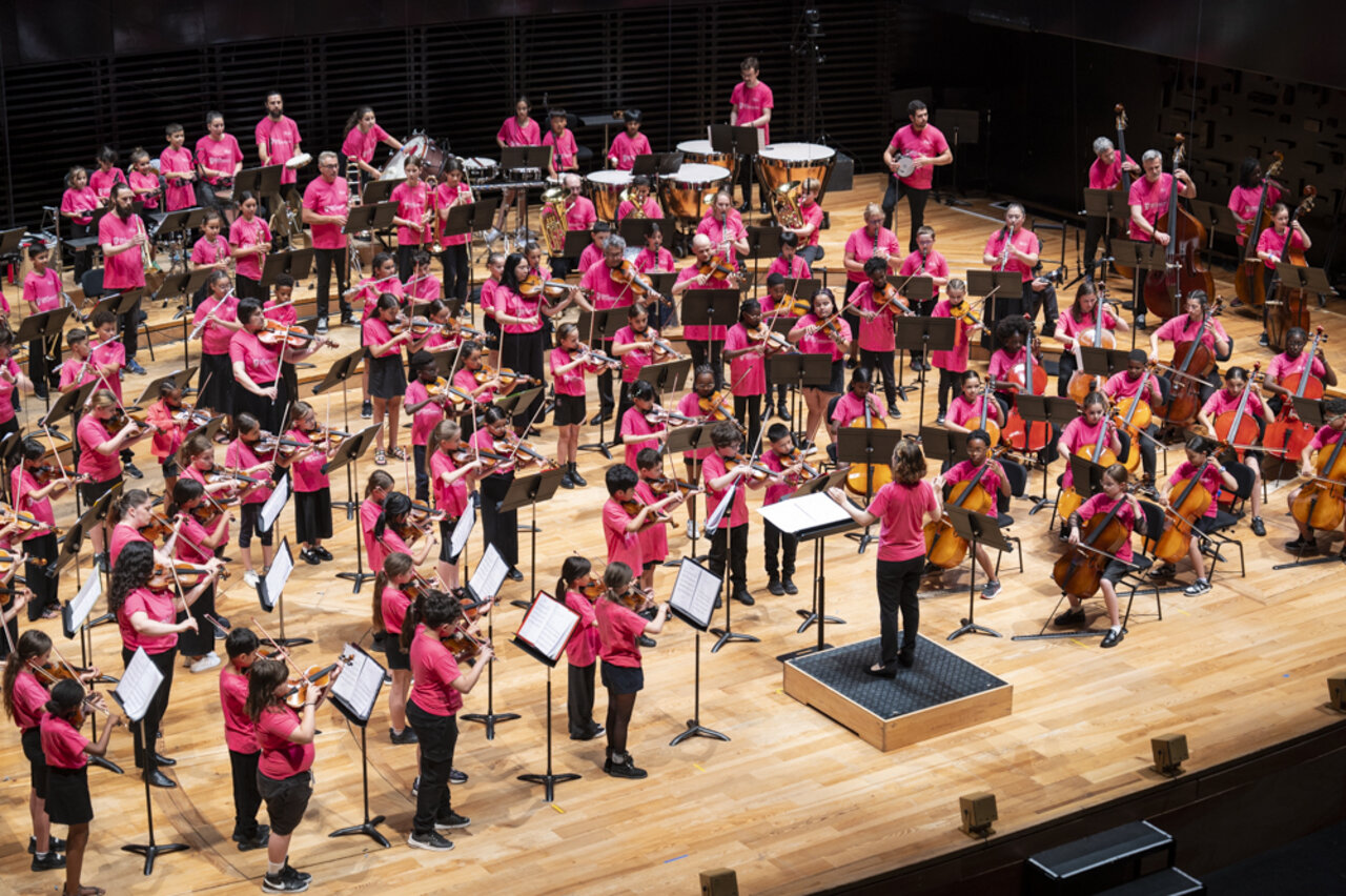Vision d'ensemble de l'orchestre