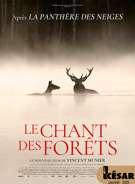 Cinéma - Le chant des fôrets