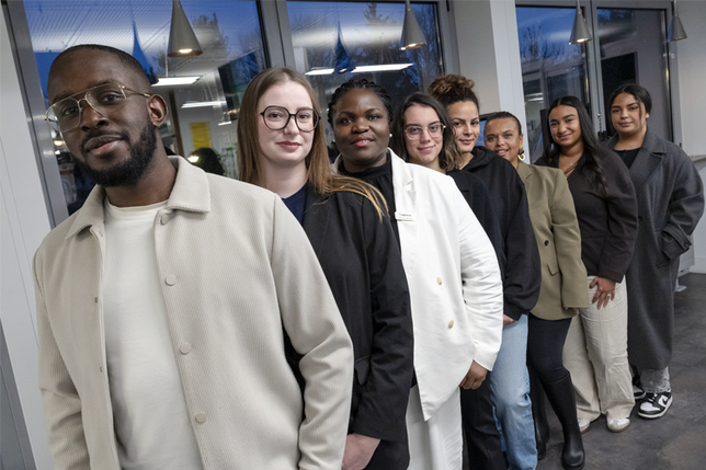 Le recensement débute en janvier 