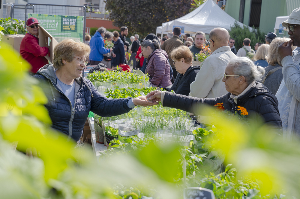 Foire horticole 11